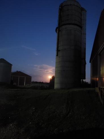 Evening barn chores under the full moon. West Montrose, ON