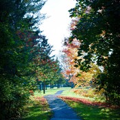 Les belles couleurs de l&#39;automne canadien.