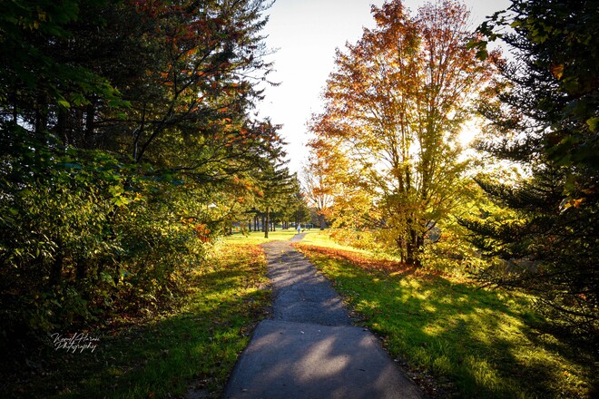 Les belles couleurs de l'automne canadien. Kanata, Ottawa, ON