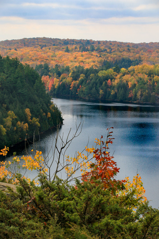 Hello Autumn. Restoule Provincial Park, Ontario 534, Restoule, ON