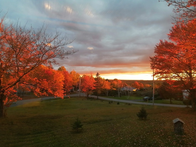 Fall view out my kitchen window Brookfield, NS