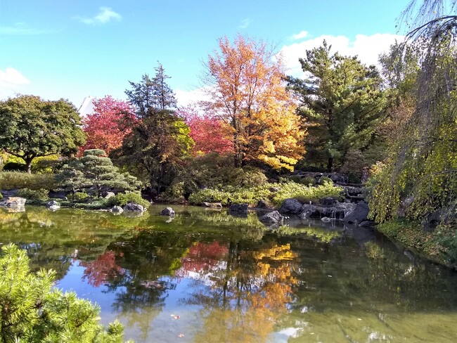 Le Jardin Japonais Jardin Japonais, Rue Sherbrooke Est, Montréal, QC
