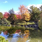 Le Jardin Japonais