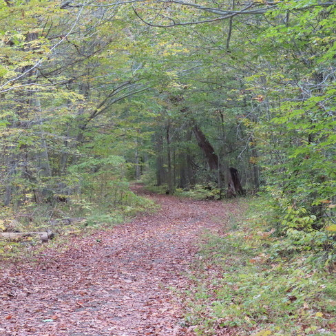 Fall Hiking Rondeau Park, ON