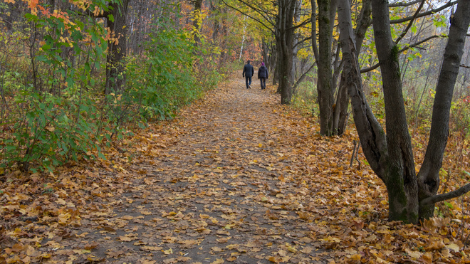 Marche dans les parcs en automne Parc de l'escarpement, Boulevard Lebourgneuf, Québec, QC