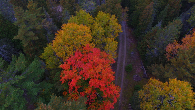 Manitoulin Colours from Above Mindemoya, ON