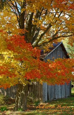 Norfolk County Autumn Barn Norfolk County, ON