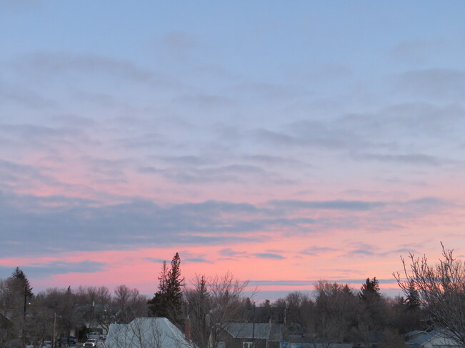 Early Morning Beauty Feeling like -7 Weyburn, Saskatchewan