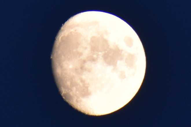 November Moon Chatham-Kent, ON