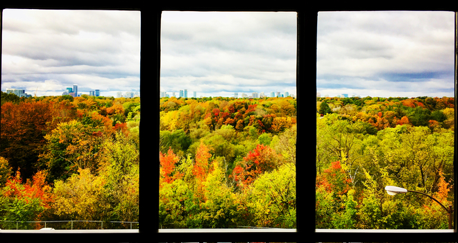 Autumn through the window Toronto, Ontario, CA