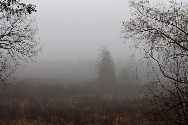 A foggy afternoon in Plevna Ontario Plevna, ON