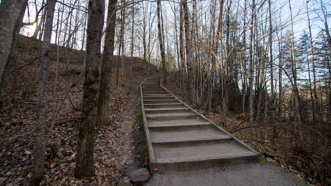 Escaliers du Parc Chauveau Parc Chauveau, Avenue Chauveau, Québec, QC