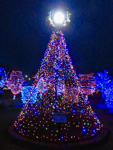 SPECTACULAR CHRISTMAS LIGHTS DISPLAY! Red Deer, AB