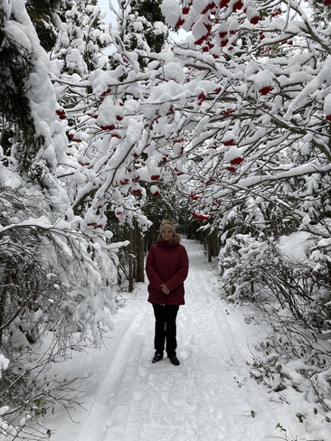 La neige fait son entrée Trois-Pistoles, Québec, CA