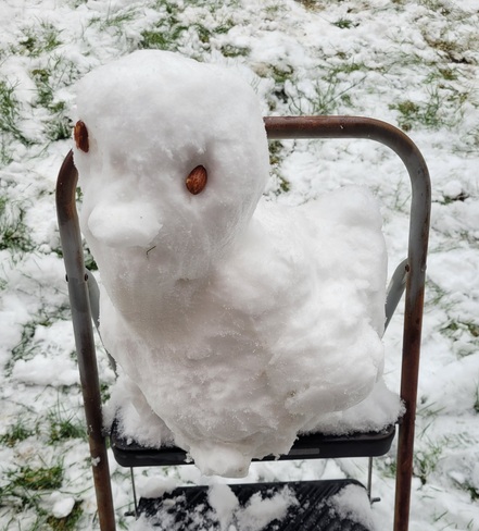 snow duck Milton, ON