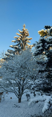 Sunshine, Blue Skies on Snow Etobicoke, ON