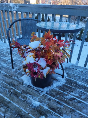 Fall arrangement with snow on it Kingston, ON