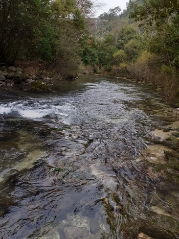 paca river Pégomas, PAC