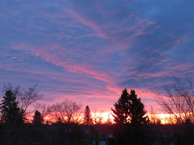 7:59 a.m., Prairie dawn in full color Weyburn, Saskatchewan