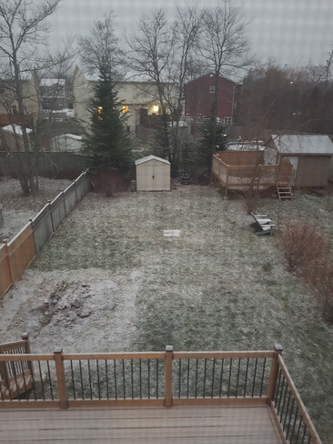 Snow in the backyard Halifax, NS