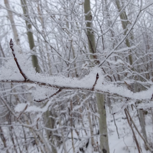 Snow & More Snow Sudbury, ON