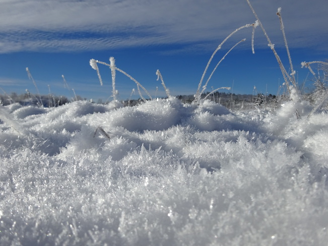 Flakes Of Snow Sudbury, ON