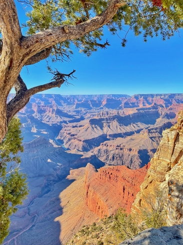 The timelessness of Grand Canyon! Grand Canyon, Arizona, US
