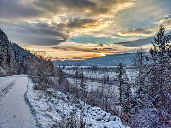 Winter walk. Enderby, B.C.