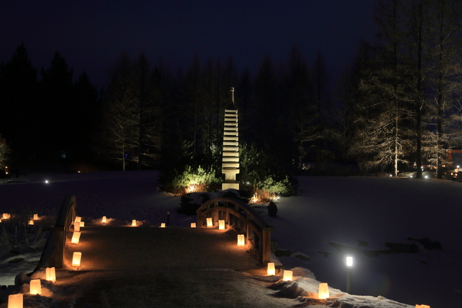Lights at winter festival 51227 AB-60, Spruce Grove, AB T7Y 1C5, Canada