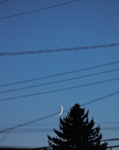Moon and Venus Edmonton, AB