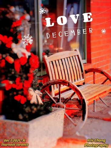 Dec 7 2021 Good evening!:) Love in December - Thornhill Thornhill, ON