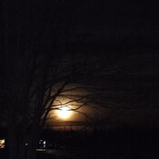 que la lune est belle ce soir