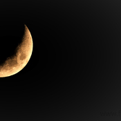 Croissant de lune a Gatineau