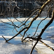 Jan 14 2022 -12C Windchill -22C Extreme cold Frosty Marita Payne Pond Thornhill