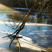 Jan 14 2022 -12C Windchill -22C Extreme cold Frosty Marita Payne Pond Thornhill