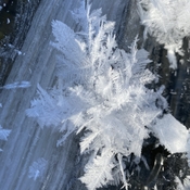 Ice crystals on Kempenfelt bay