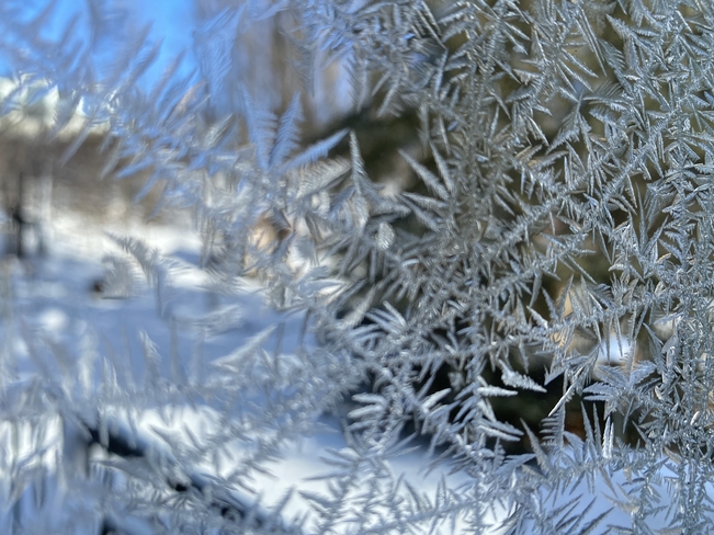 Frost images on glass Oro-Medonte, Ontario, CA