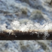 Ice crystals ❄