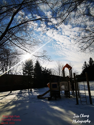 Jan 16 2022 Happy Sunday:) Beautiful sunshine in Winter King High Park Thornhill Thornhill, ON