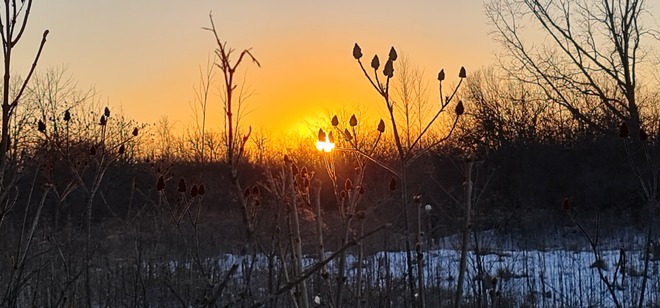 Sunset in the forest, NCC Ottawa Greenbelt Ottawa, ON