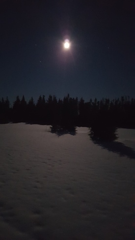 Snowy Moonlit night St. Martins, NB