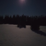 Snowy Moonlit night