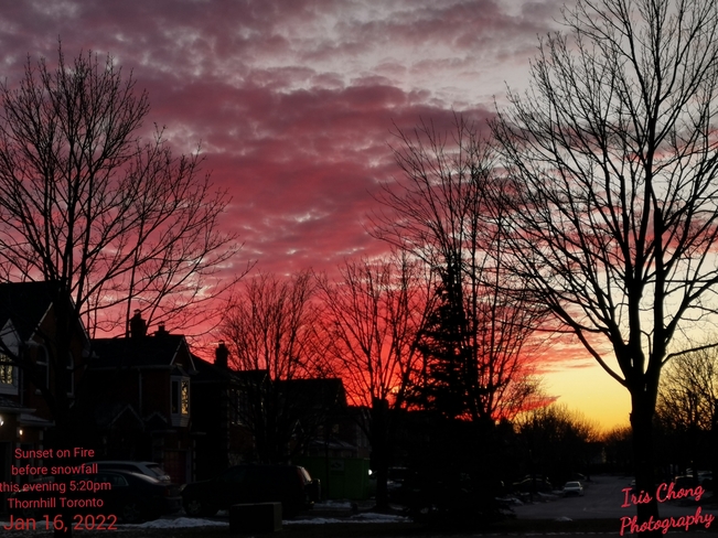 Jan 16 2022 -4C 5:20pm Sunset on Fire before snowfall this evening in Thornhill Thornhill, ON