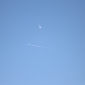 FLY me to the MOON