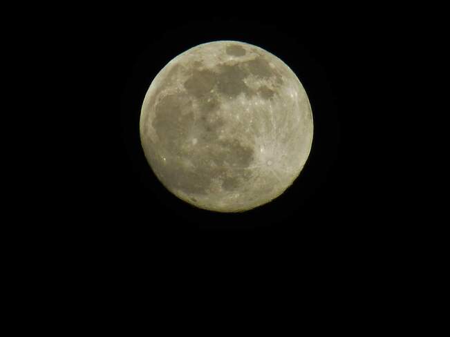 Full Wolf Moon Ottawa, ON