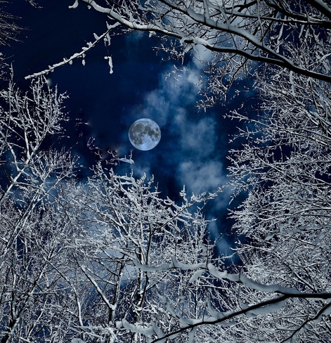 Ice Moon Orléans, ON K1C 6V9