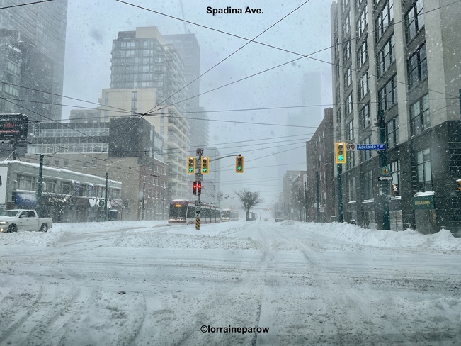 Toronto has been silenced during snow storm. #sillyhatweatherforecast Toronto, ON