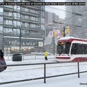 Toronto has been silenced during snow storm. #sillyhatweatherforecast