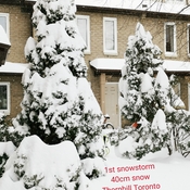Jan 17 2022 -4C First Winter snowstorm warning 40cm in Thornhill