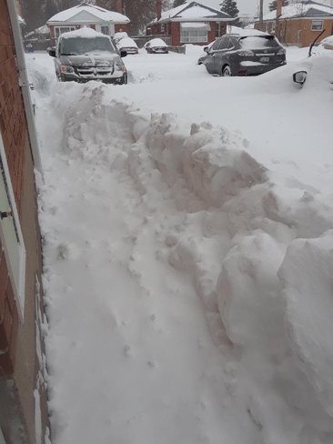 Wow! Lots of Snow in Scarborough!! Scarborough, Ontario | M1J 1R4